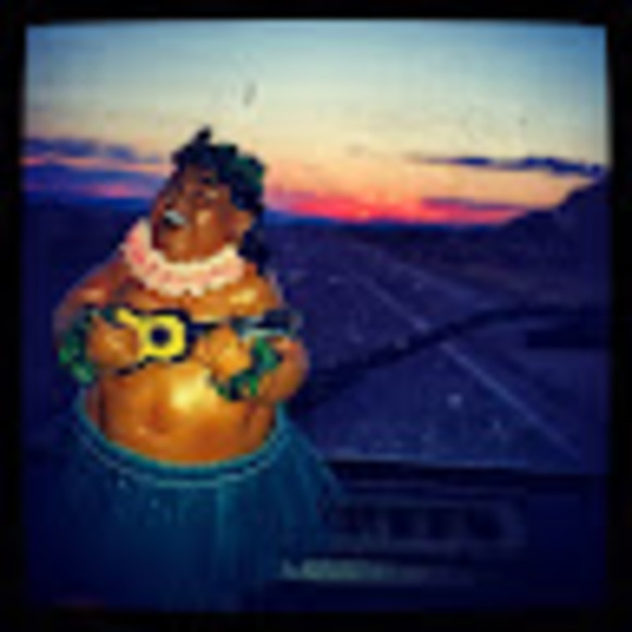 Meet your Posher, Amelia - Picture 1 of 1